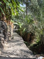 Wanderung in Misfah al Abreen