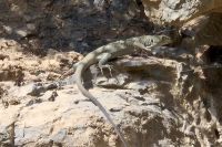 Wanderung in Misfah al Abreen