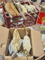 im Souk von Nizwa...Honig