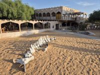 Wüstencamp in der Wahiba Sands