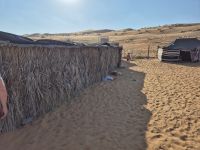 zurück in der Wahiba Sands bei Beduinen