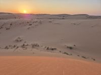 Wahiba Sands
