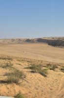 Wahiba Sands, da vorn fährt Ahmad