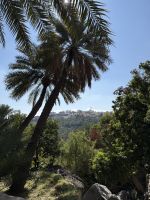 Rundgang im Bergdorf Misfat Al Abriyeen