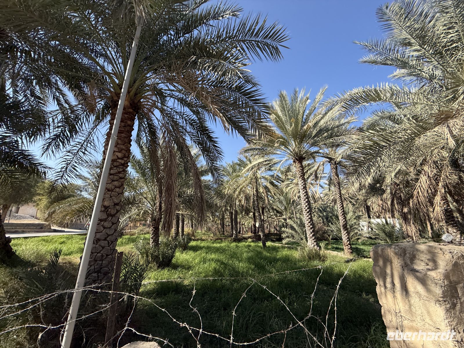 Fahrt durch die Oasa von Al Hamra