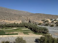 Fotostopp an einer kleinen Oase