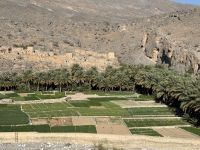 Fotostopp an einer kleinen Oase