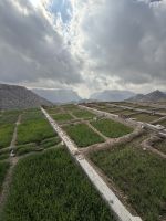 3 Dörfer Wanderung entlang schmaler Wasserkanäle - 1. Dorf: Al Uqr - 2. Dorf Al Ain - 3. Dorf: Al sherayjah