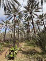 Rundgang in dem alten Dorf Birkat Al Mauz