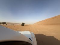 Fahrt durch die „Wahiba Sands“ Sandwüste