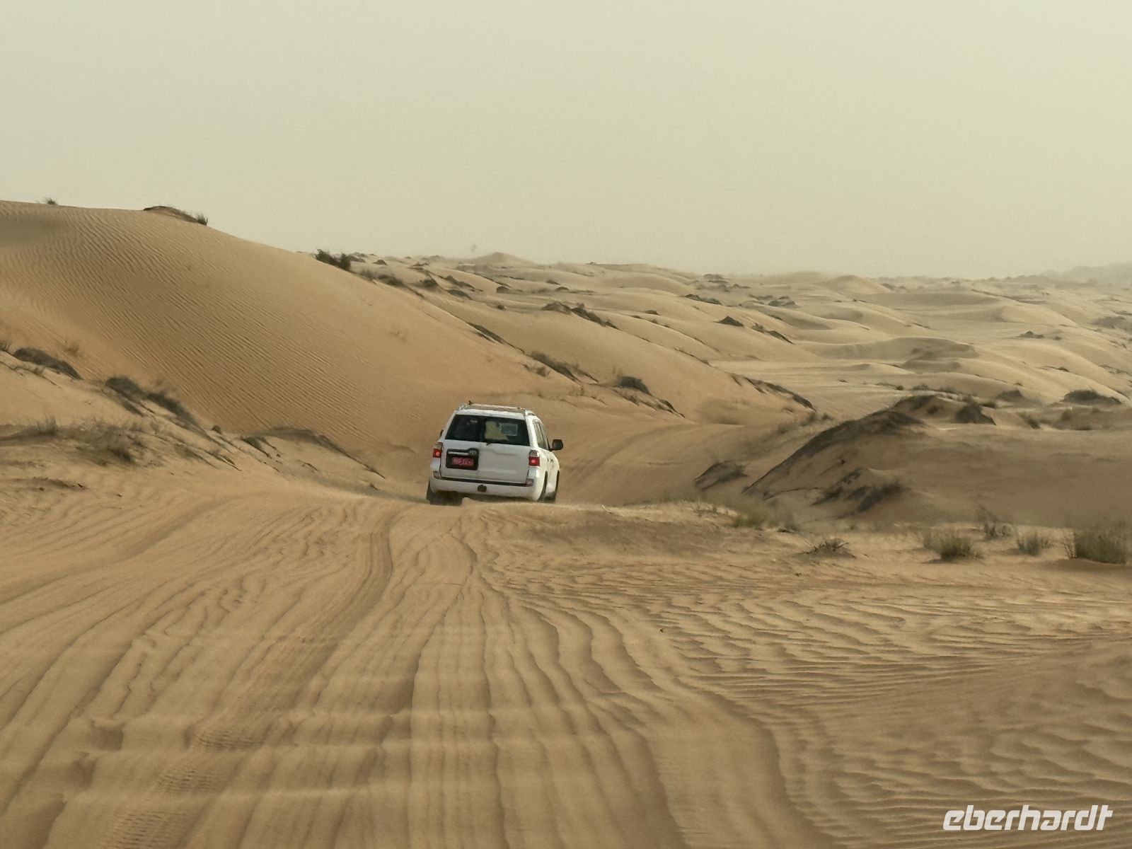 Fahrt durch die „Wahiba Sands“ Sandwüste
