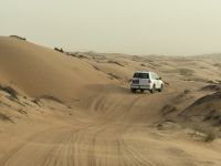 Fahrt durch die „Wahiba Sands“ Sandwüste
