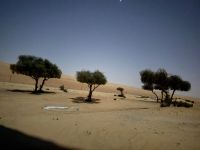 Sterne beobachten im Wüstencamp - 