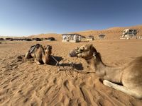 Unser Wüstencamp - 