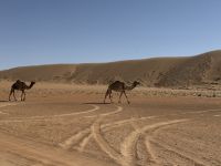 Drohnenfotos in der „Wahiba Sands“ Sandwüste