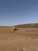 Drohnenfotos in der „Wahiba Sands“ Sandwüste