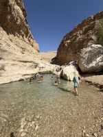 Spaziergang und Baden im Wadi Bani Khalid