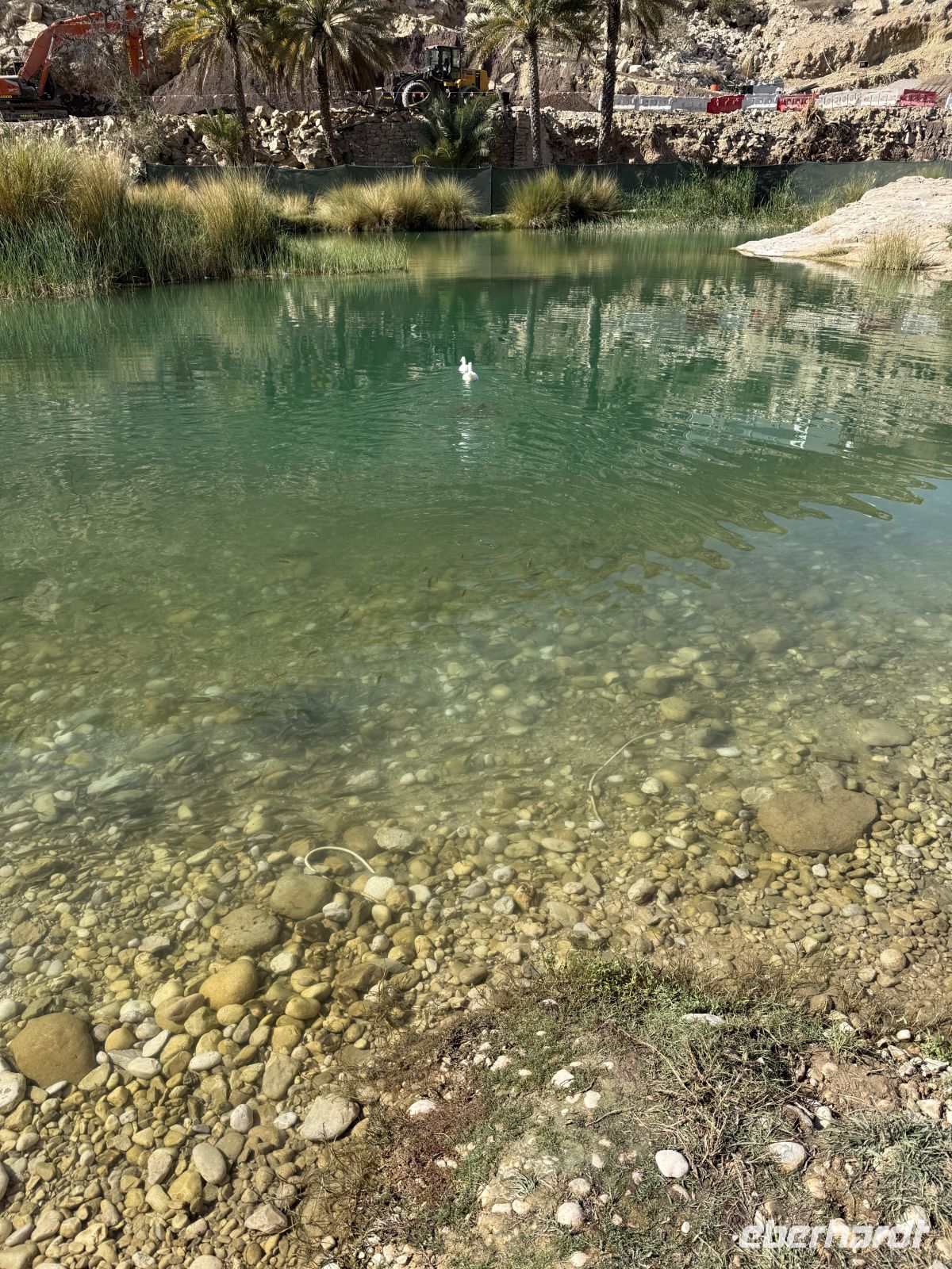 Spaziergang und Baden im Wadi Bani Khalid