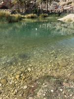 Spaziergang und Baden im Wadi Bani Khalid