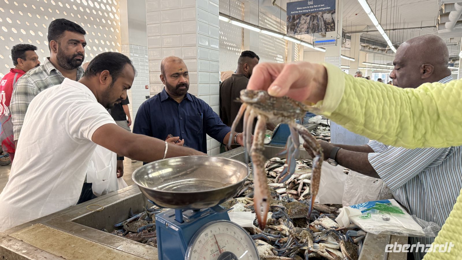 Rundgang auf dem Fischmarkt von Muttrah