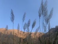 245 Wadi Tiwi