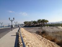 341 Lagune Muscat