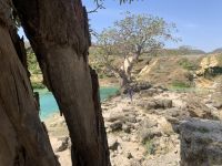 458 Wadi Darbat