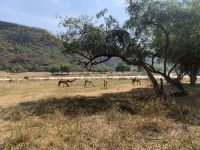 464 Wadi Darbat