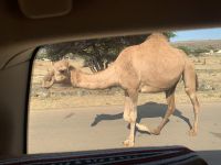 476 Jebel Samhan