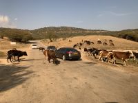 479 Jebel Samhan