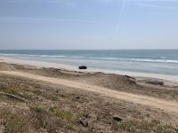 515 Mughsail Beach