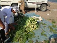 015 auf dem Fischmarkt in Barka