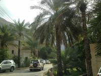 034 auf dem Weg zum Picknick