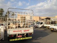 058 Viehmarkt Nizwa