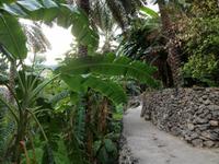 136 Terrassengärten in Misfah