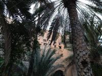 139 Terrassengärten in Misfah