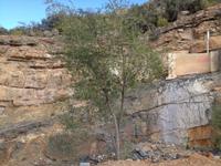 164 Jabal Akhdar - der Grüne Berg