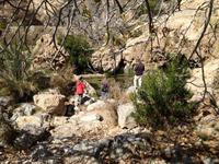 174 Spaziergang an den Terrassengärten