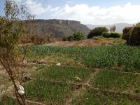 176 Spaziergang an den Terrassengärten