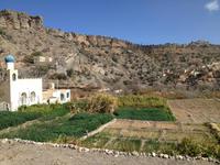 179 Spaziergang an den Terrassengärten (Al Ayn)