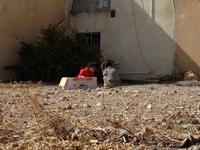 180 in Al Ayn auf dem Jabal Akhdar