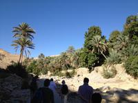 224 im Wadi Bani Khalid