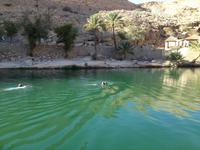229 im Wadi Bani Khalid
