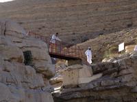 231 im Wadi Bani Khalid