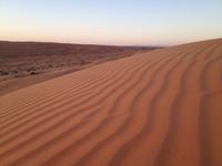 243 Wahiba Sands Wüste Oman