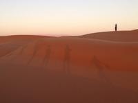 245 Wahiba Sands Wüste Oman