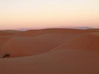 248 Wahiba Sands Wüste Oman