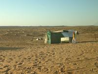 282 in der Wahiba Sands Wüste