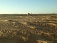 283 in der Wahiba Sands Wüste