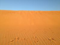 286 in der Wahiba Sands Wüste